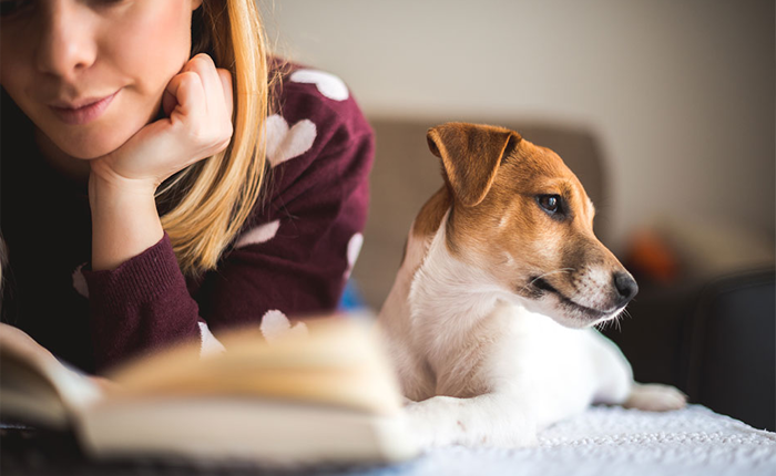 A blonde woman interacts with her brown and white puppy at home.